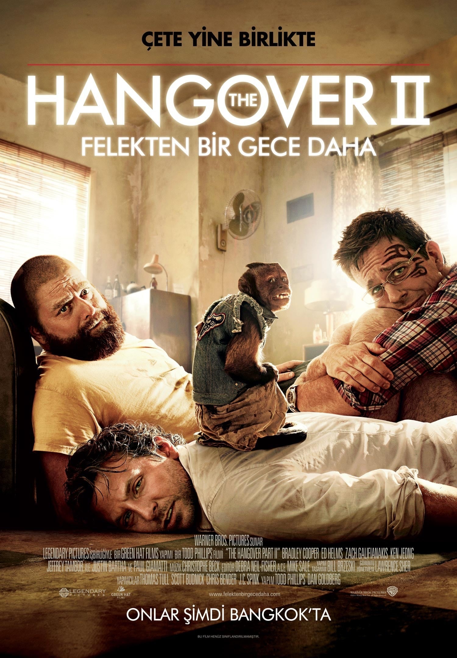Felekten Bir Gece 2