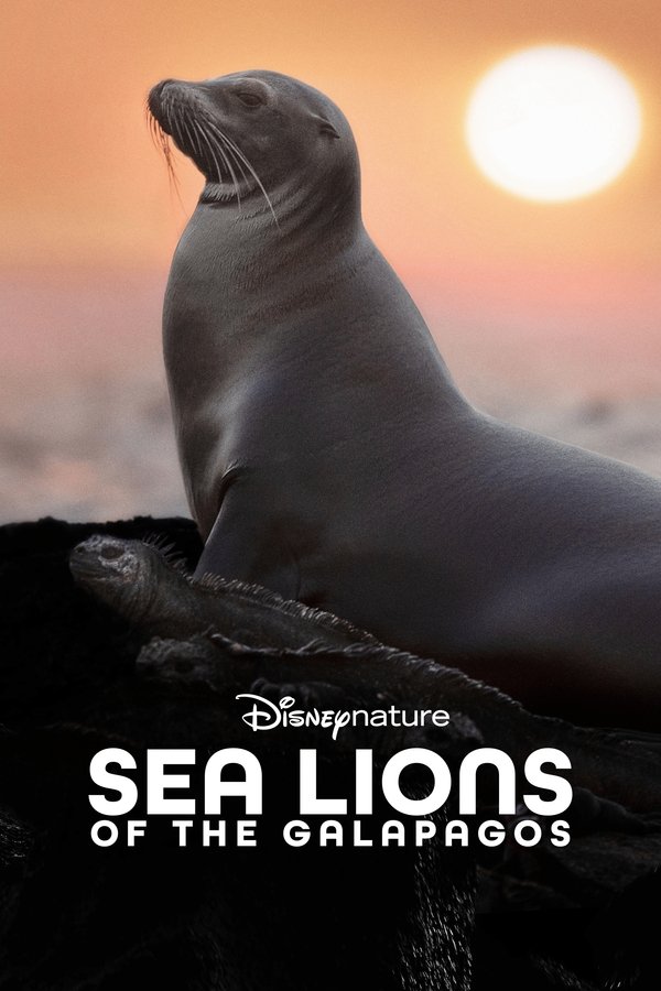 Galapagos’un Deniz Aslanları