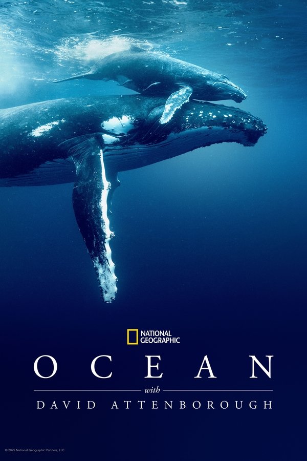 David Attenborough ile Okyanus